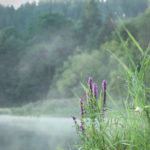 Landsitzbilder, Traditionen-Bilder, Schöpfungsbilder