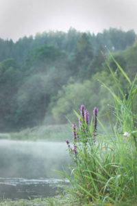 Landsitzbilder, Traditionen-Bilder, Schöpfungsbilder