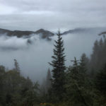 Boxenschilder, Auftragsarbeiten, Portraits