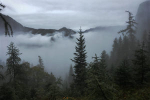 Boxenschilder, Auftragsarbeiten, Portraits