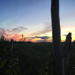 Geschichten für die Seele